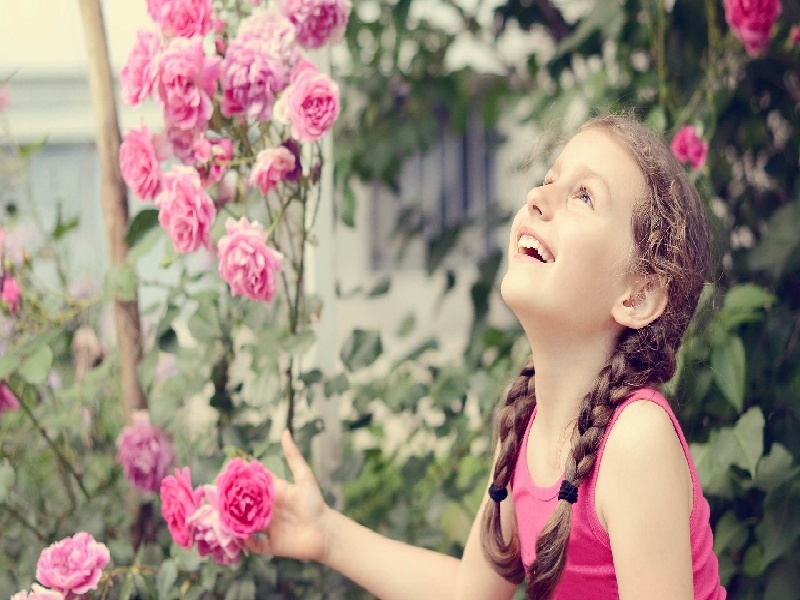 试管长方案会多久在线试管儿医生选择试管婴儿医院